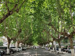 -四川农业大学(雅安校区)