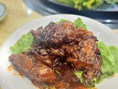 -丁老爷子苏香圆