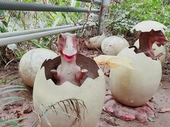 -呀路古热带植物园