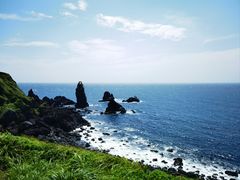 -涉地可支