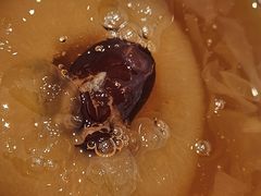 -颜家菜·鲁菜世家(大明湖店)