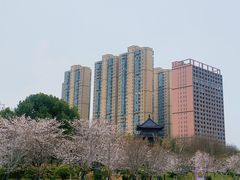 -堤角公园