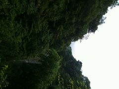 android_upload_pic-祁门牯牛降观音堂风景区