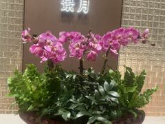 -景月阁空中食府(希尔顿酒店)