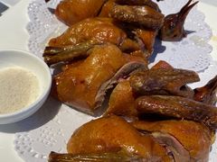 -禧宴Joyous Restaurant(禧园店)