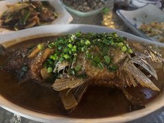 -阿巧茶庄
