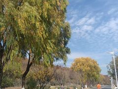 -羊山湖公园