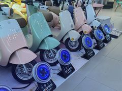 -绿源电动车(胜利路专卖店)