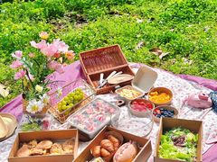 -上海共青森林公园