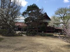 -医王山·飞騨国分寺