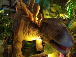 -恐龙探索乐园(磁器口店)