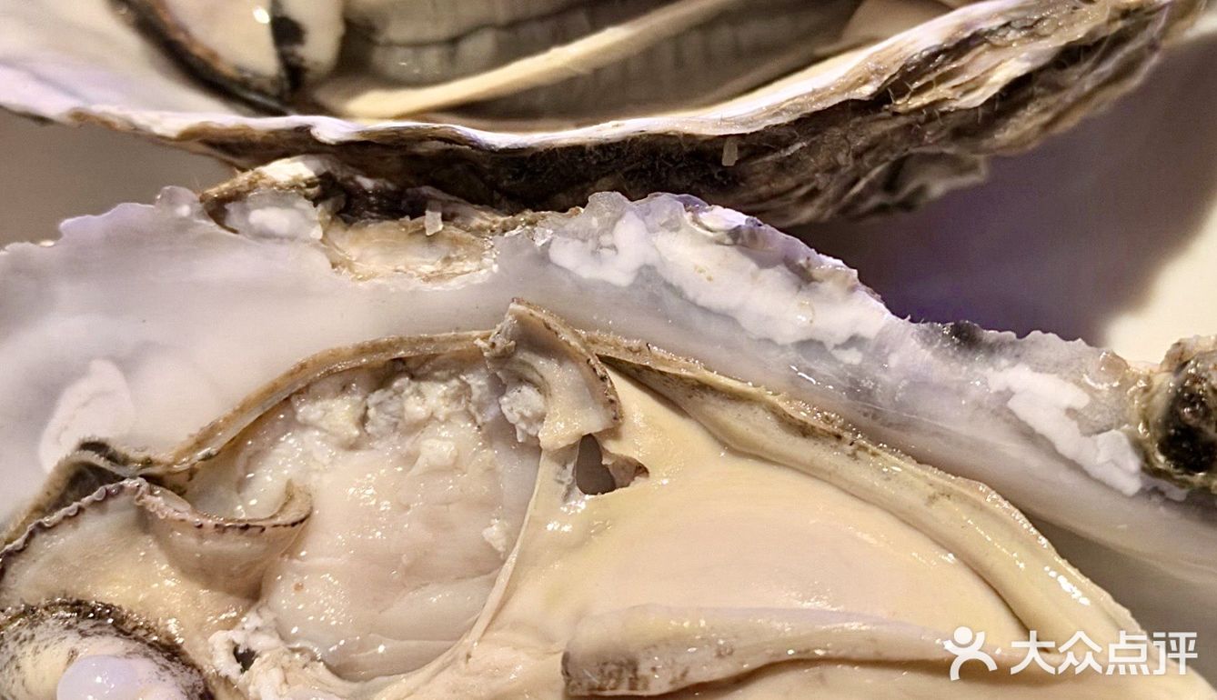 生蚝，谁能抵抗？ 巨蚝登场🔥鲜动全城❗️‼️