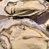 生蚝，谁能抵抗？ 巨蚝登场🔥鲜动全城❗️‼️