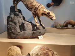-武汉园博园(武汉自然博物馆)