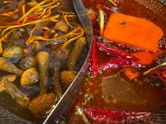 -手选潮汕鲜活牛肉火锅(二七广场店)