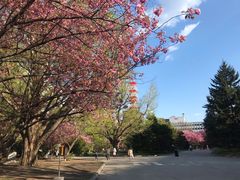 -北海道厅旧本厅舍(旧本庁舎)