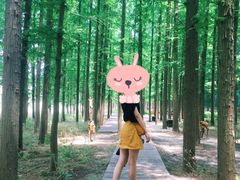 -南京金牛湖风景区