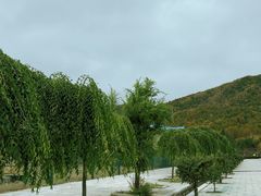 -横道河子东北虎林园