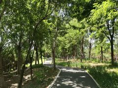 -丰台科技园生态主题公园