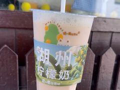 -猫的魔法密林(衣裳街店)