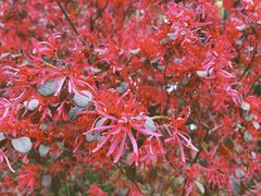 -杭州城北体育公园