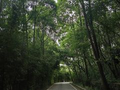 -富乐山