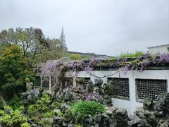 -何园