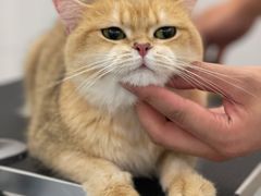 -comecome来吧宠物(奥克斯中心店)