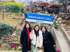 -桃源山庄·水蜜桃采摘·柴火鸡·烧烤团建(龙泉山店)