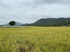 -风云岭森林公园