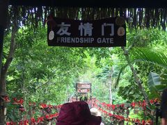 -呀诺达热带雨林
