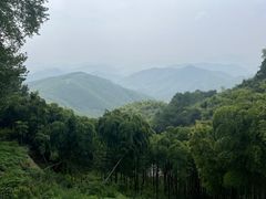 -莫干山风景区