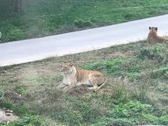 -西安秦岭野生动物园