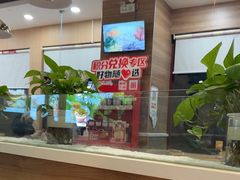 -嘉和一品粥(马家堡店)