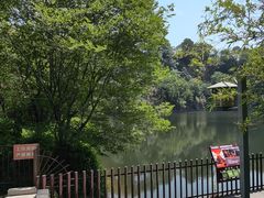 -王借岗森林公园