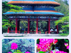-天坛公园