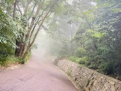 -紫金山山顶公园