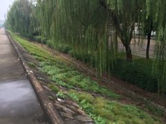 -宁波儿童公园(鄞州区)