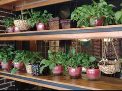 大堂-肥鱼屯活鱼锅(惠工街店)