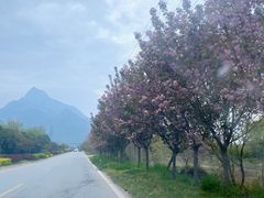 -太平万花山景区