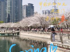 -西北湖绿化广场