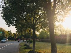 -东华大学(松江校区)
