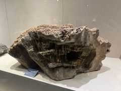 -安徽省地质博物馆