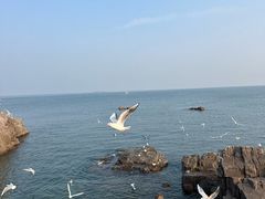 -青岛石老人海水浴场