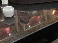 -酒井酱子·深夜食堂(东城汇店)