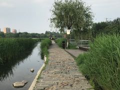 -前关湿地公园