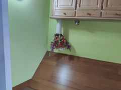 -金山农民画村-枫泾波兰倒置屋