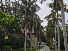 -厦门大学(思明校区)