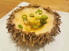 -海胆小馆(东北水饺·春柳店)