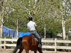 -北京群众马术培训基地